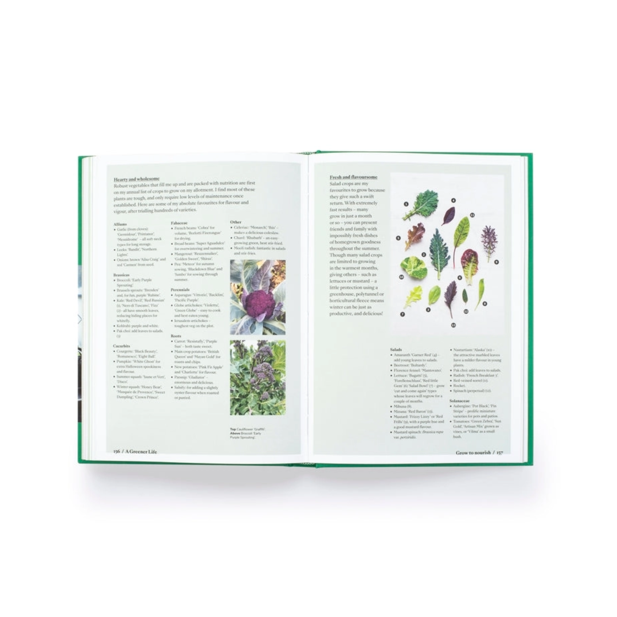 A Greener Life: Discover the Joy of Mindful and Sustainable Gardening