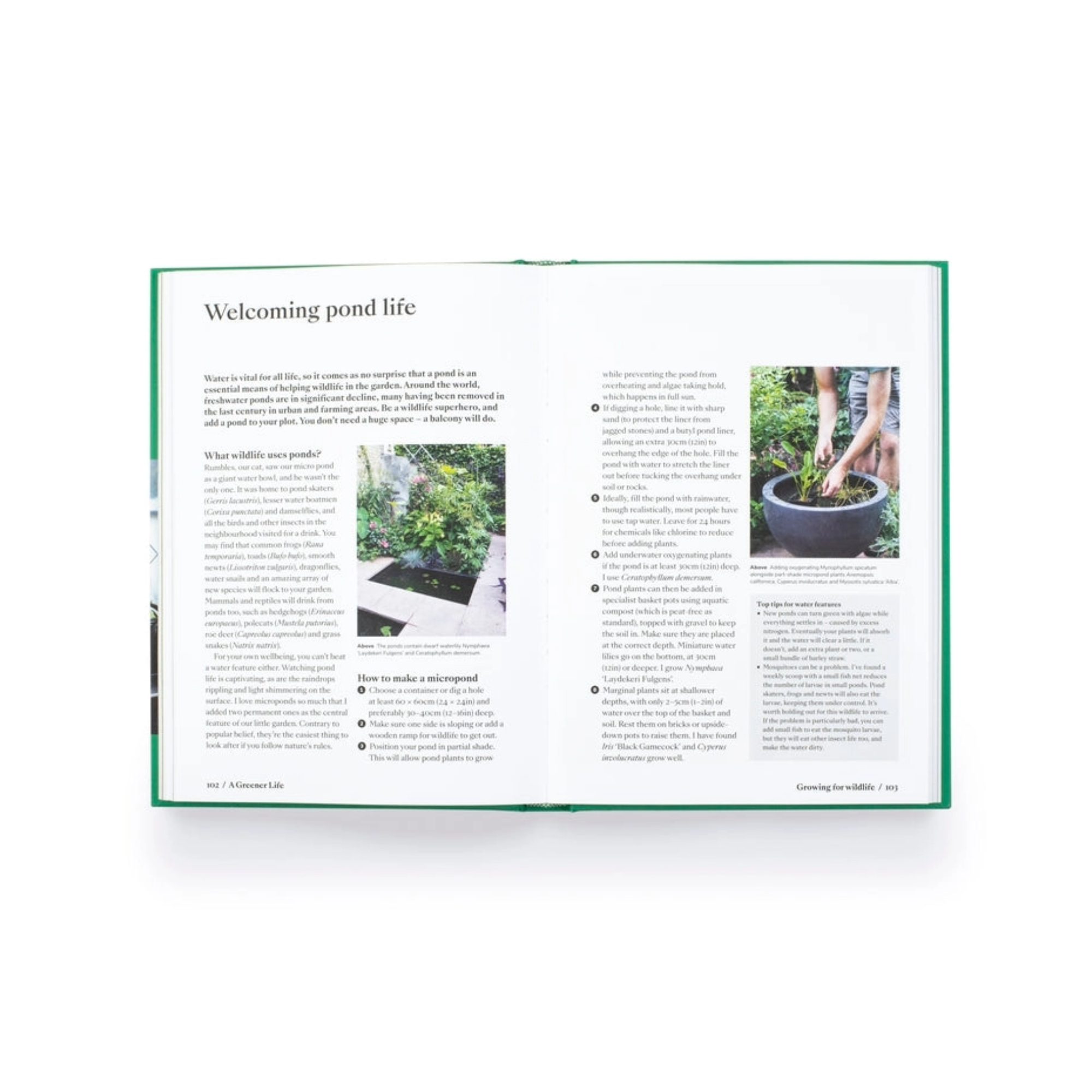 A Greener Life: Discover the Joy of Mindful and Sustainable Gardening