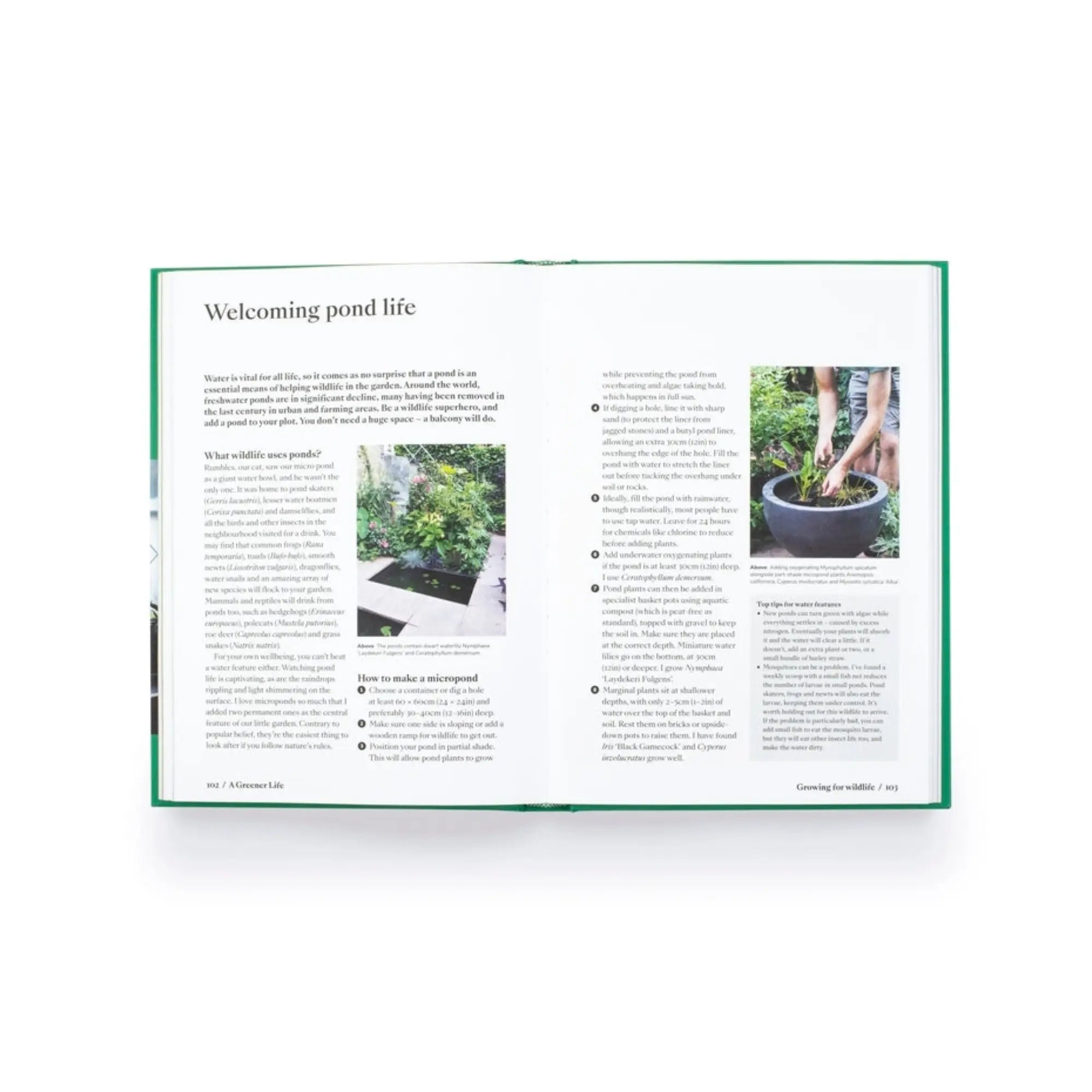 A Greener Life: Discover the Joy of Mindful and Sustainable Gardening Wilding and Wonder