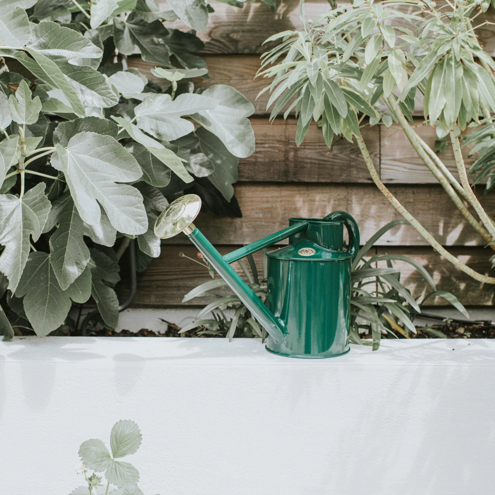 Haws Bearwood Brook Watering Can - 1 Gallon