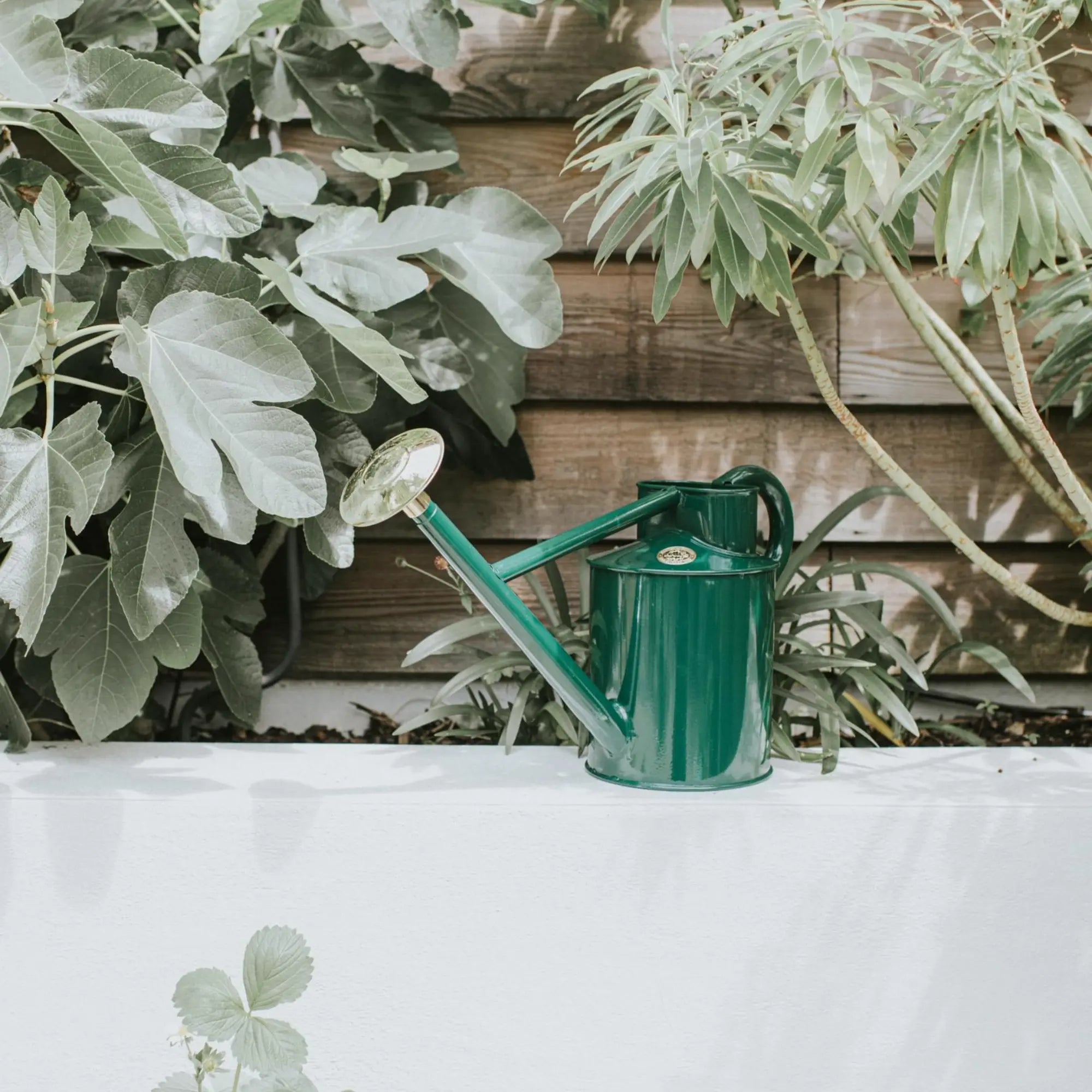 Haws Bearwood Brook Watering Can - 1 Gallon Haws