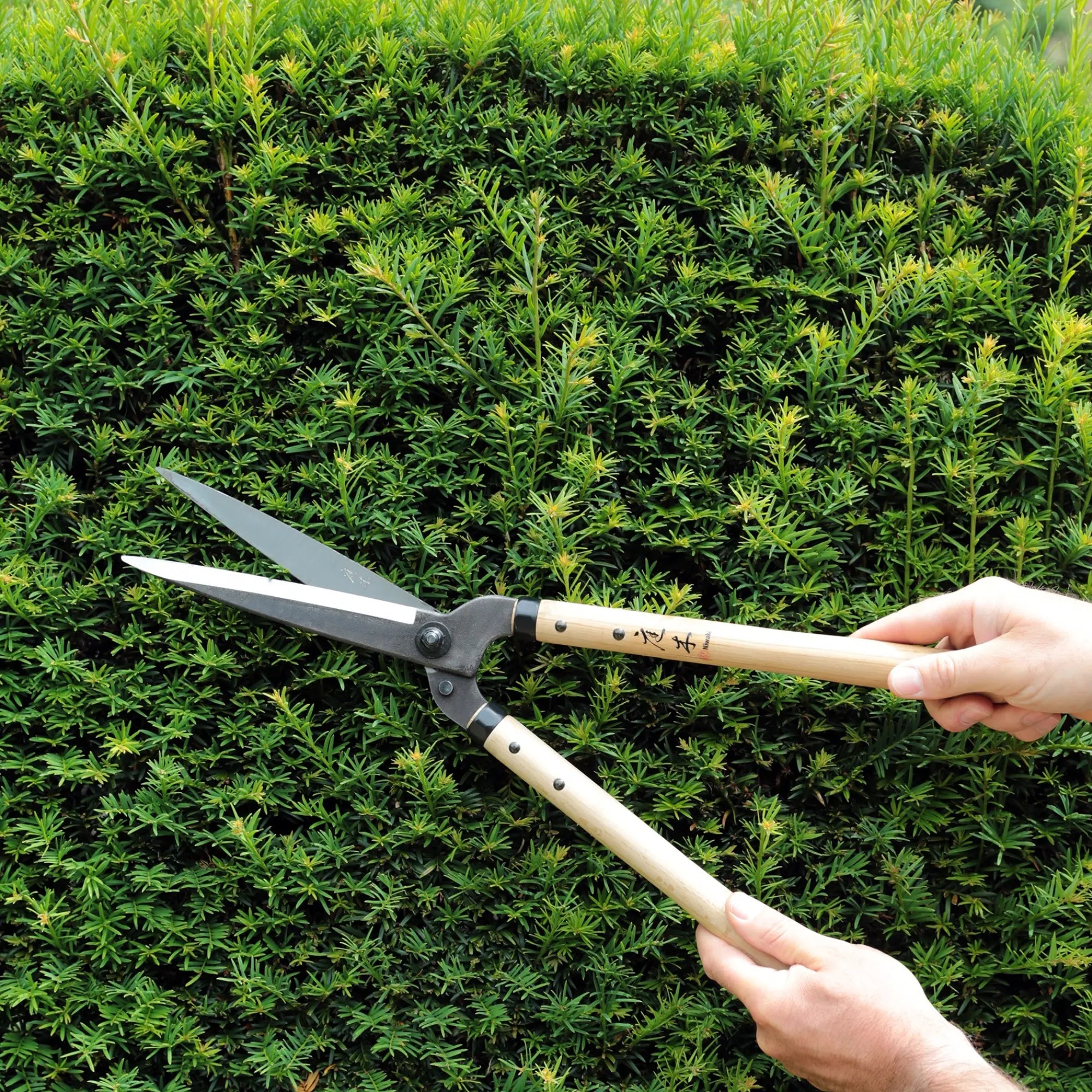 Niwaki Garden Shears Niwaki
