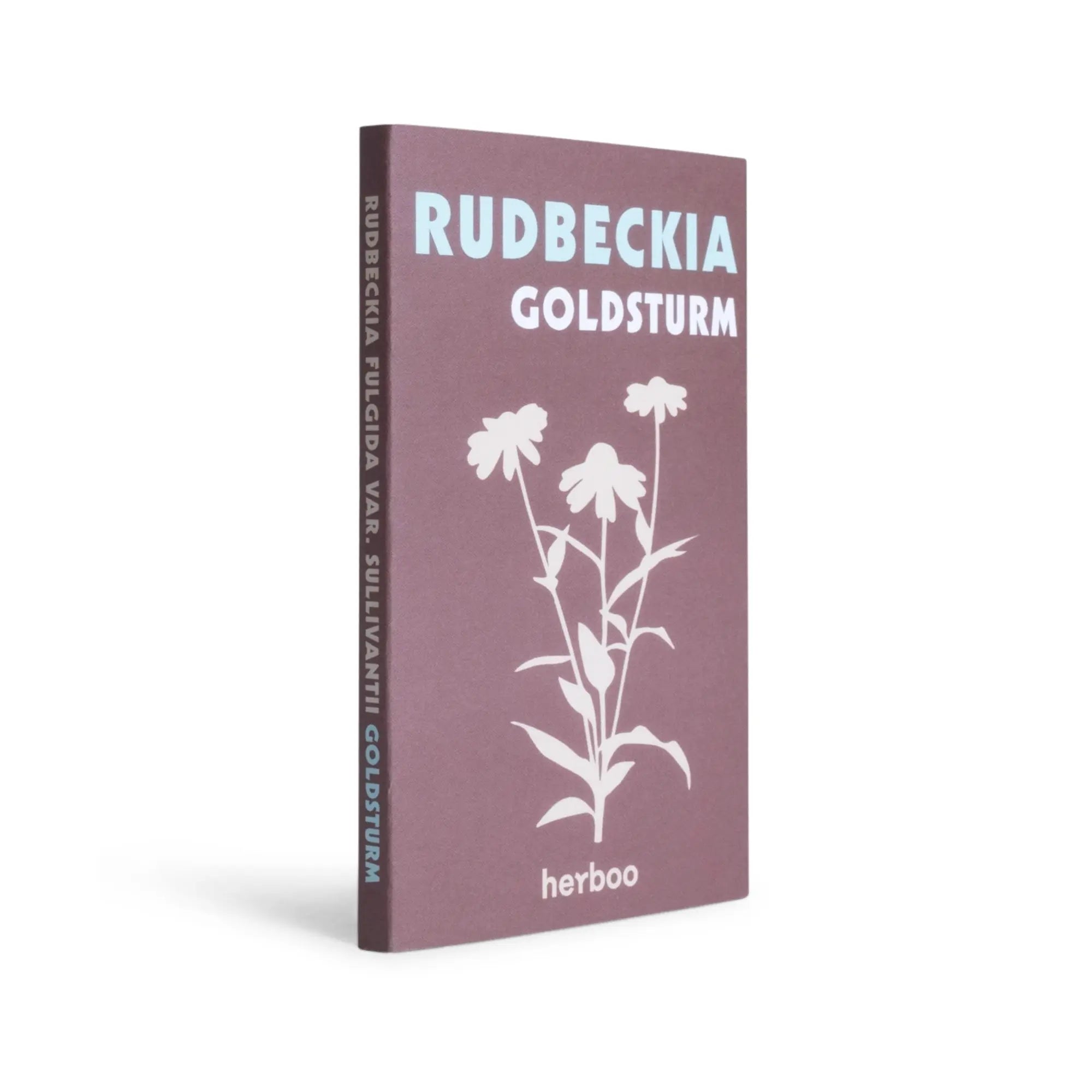 Rudbeckia &