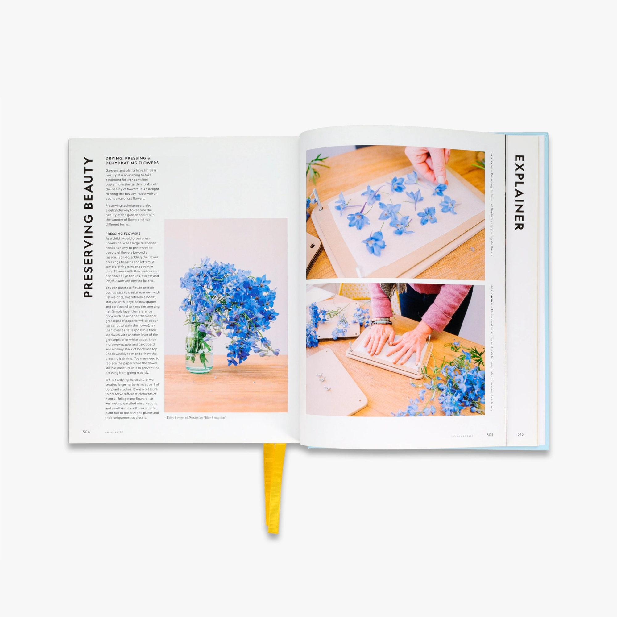 Super Bloom: A Field Guide to Flowers for Every Gardener