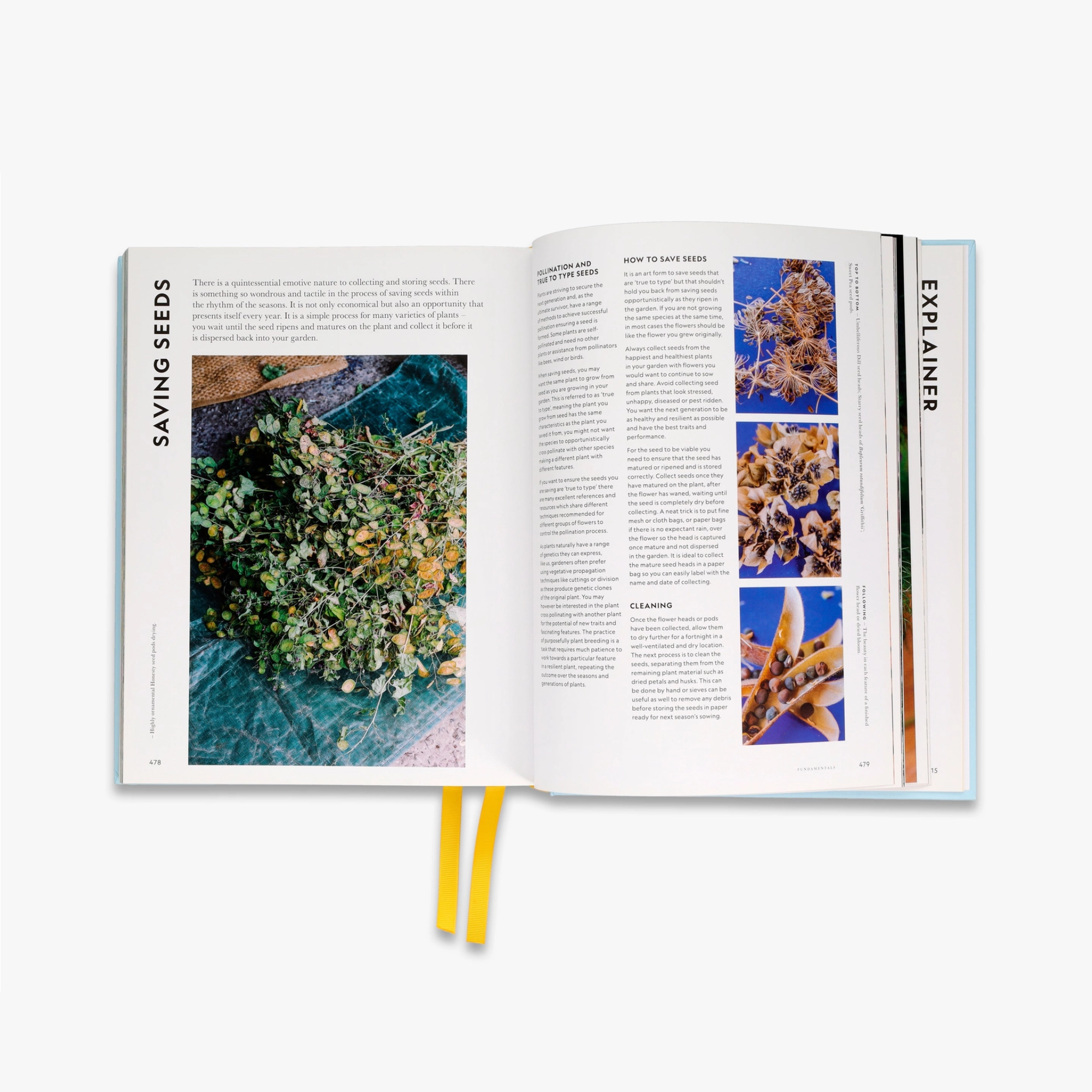Super Bloom: A Field Guide to Flowers for Every Gardener