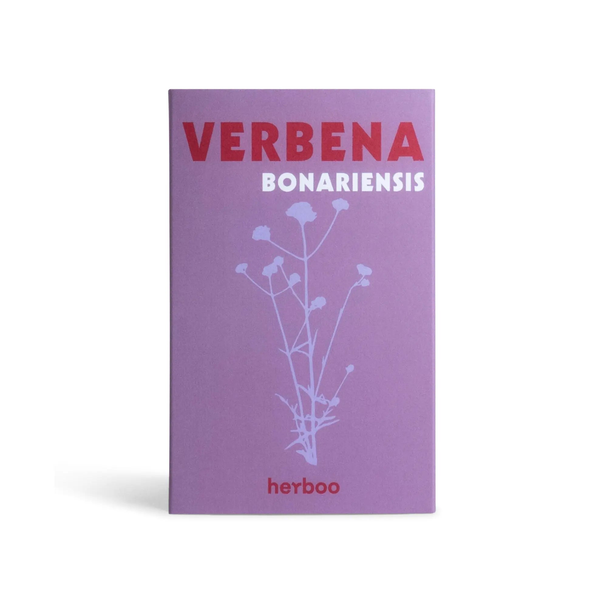 Verbena Bonariensis Seeds Herboo