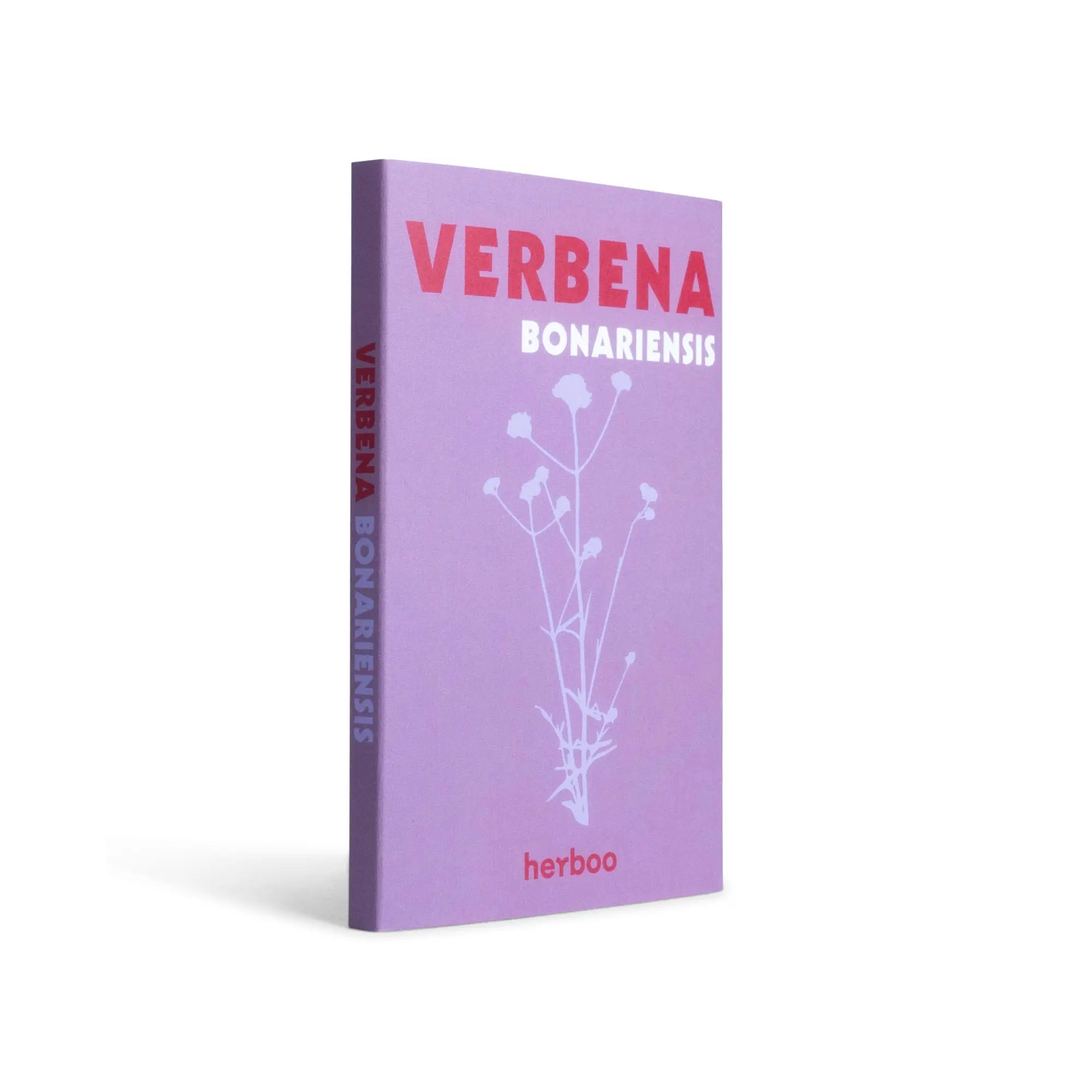 Verbena Bonariensis Seeds Herboo