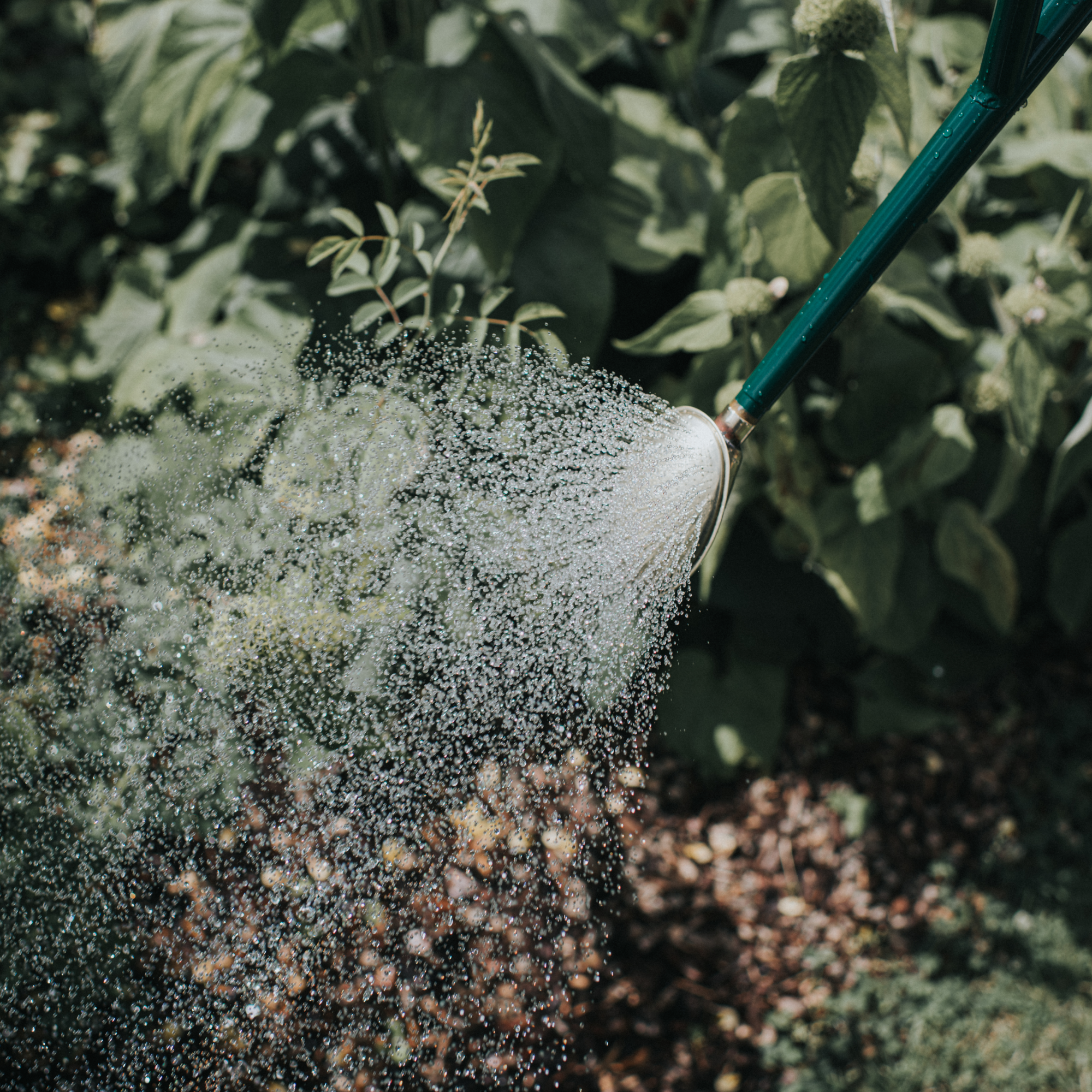 Haws Warley Fall Watering Can - 1 Gallon