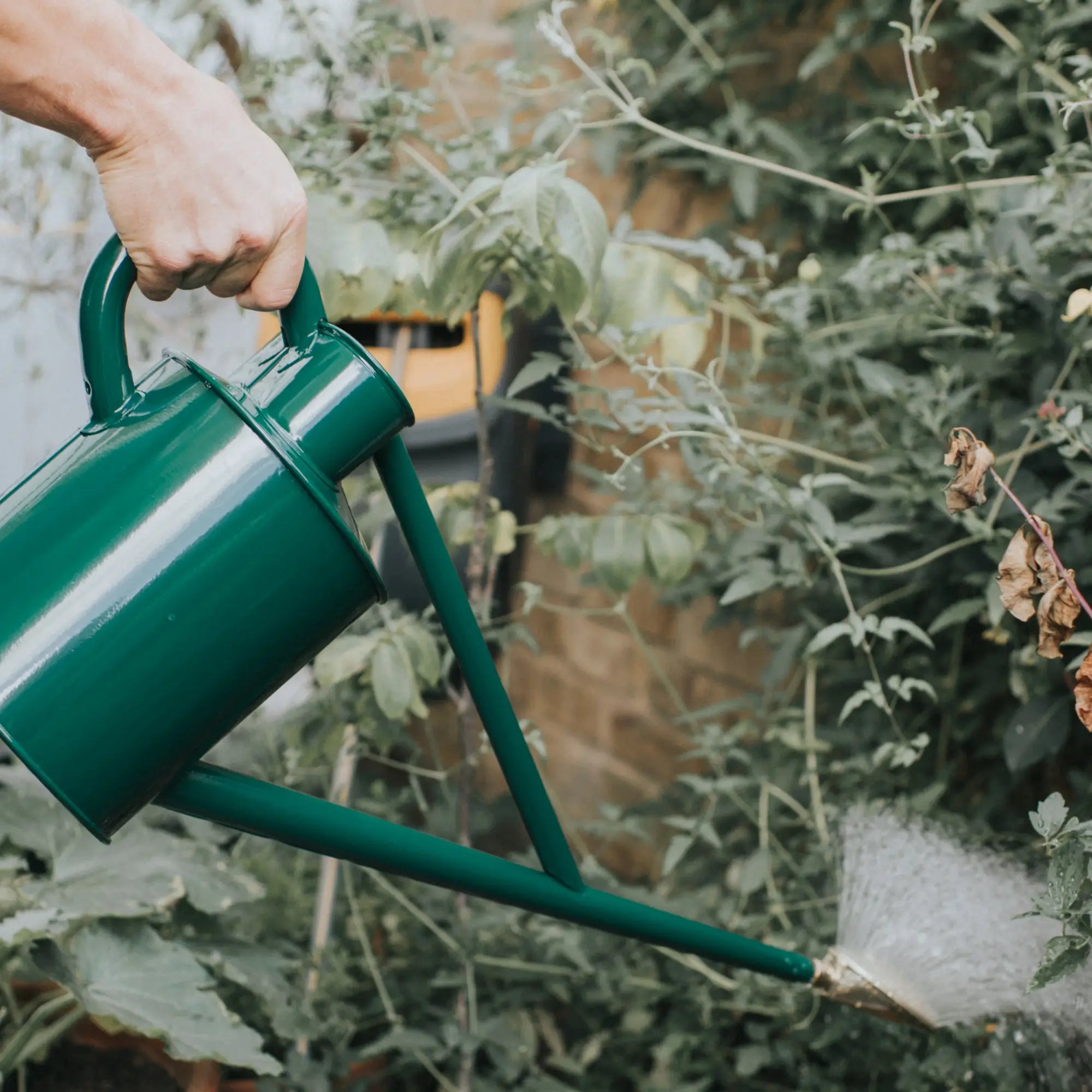 Haws Warley Fall HDG Watering Can - 2 Gallon Haws