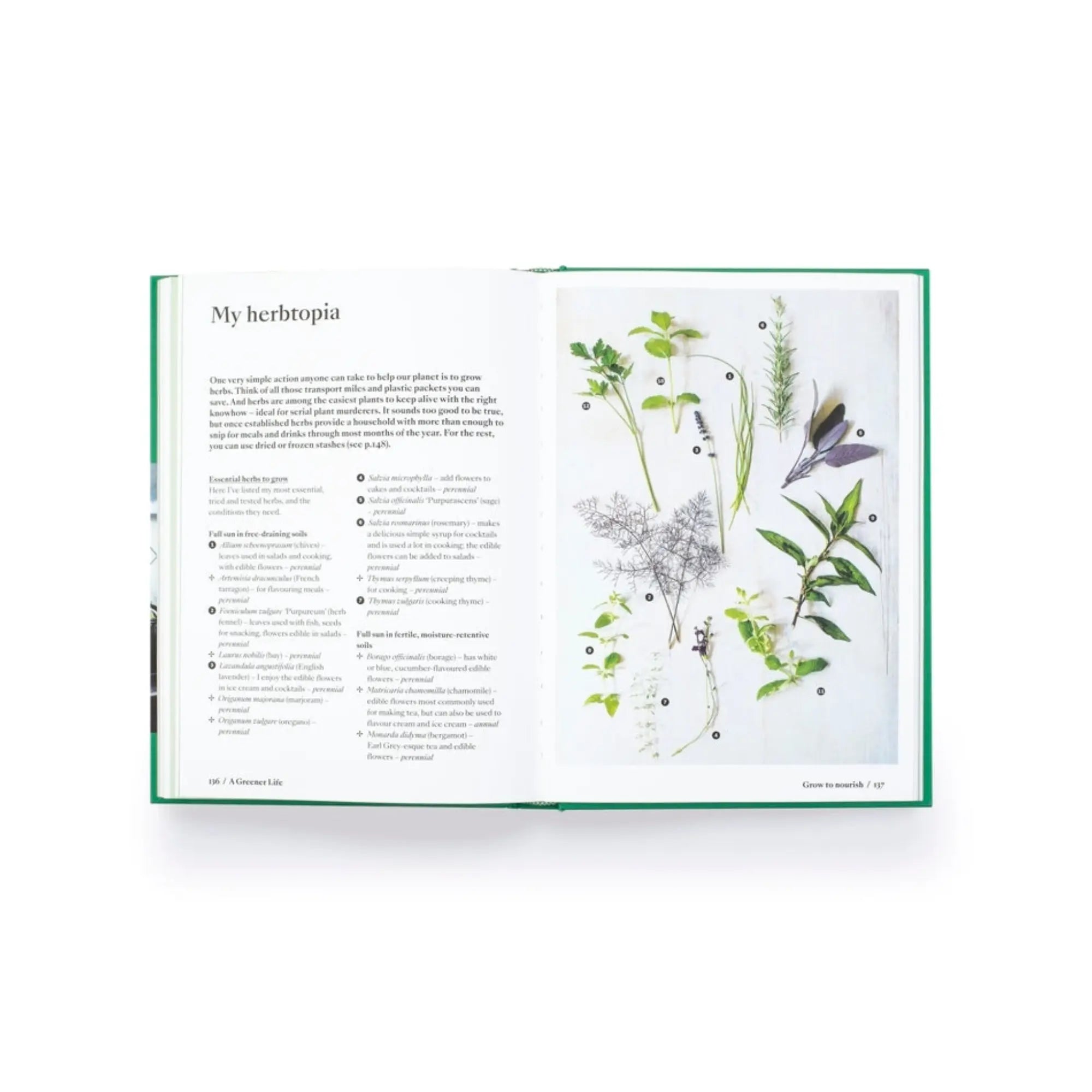 A Greener Life: Discover the Joy of Mindful and Sustainable Gardening Wilding and Wonder