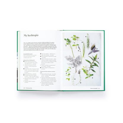 A Greener Life: Discover the Joy of Mindful and Sustainable Gardening