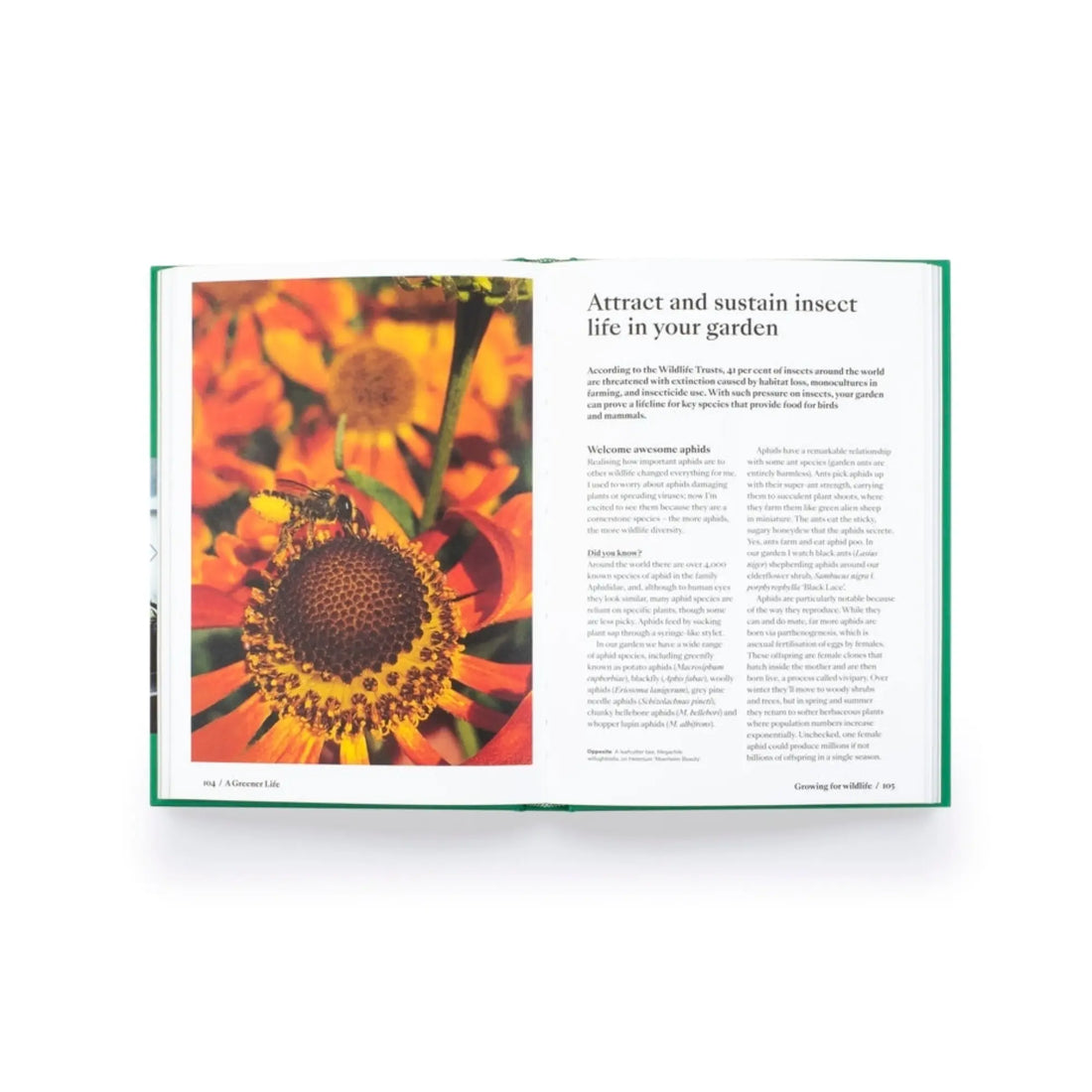 A Greener Life: Discover the Joy of Mindful and Sustainable Gardening Wilding and Wonder