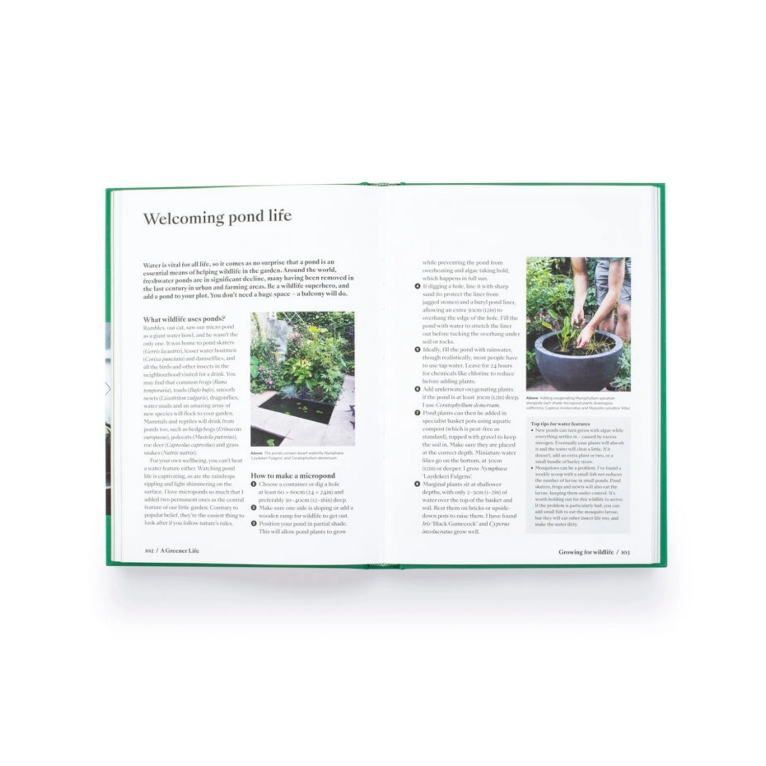 A Greener Life: Discover the Joy of Mindful and Sustainable Gardening