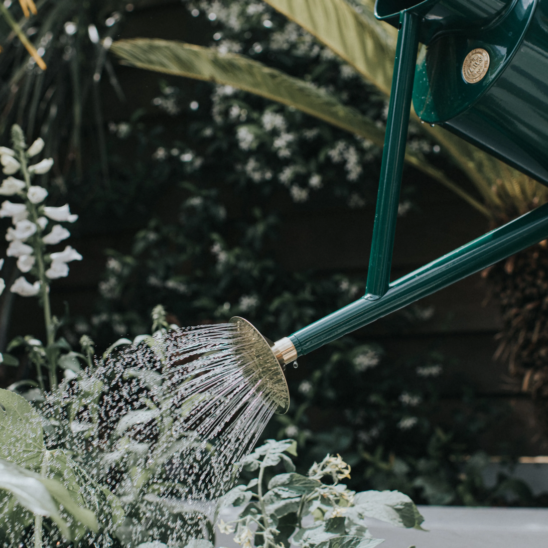 Haws Bearwood Brook Watering Can - 1 Gallon