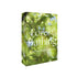 Forest Bathing Cards - 50 Self-Guided Prompts for Nature Connection - Wilding & Wonder