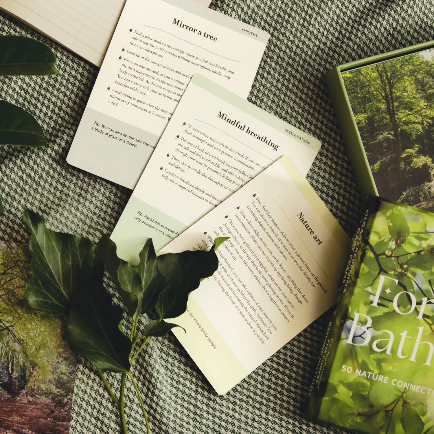 Three Forest Bathing Guided Prompt Cards on Fabric Background - Wilding &amp; Wonder