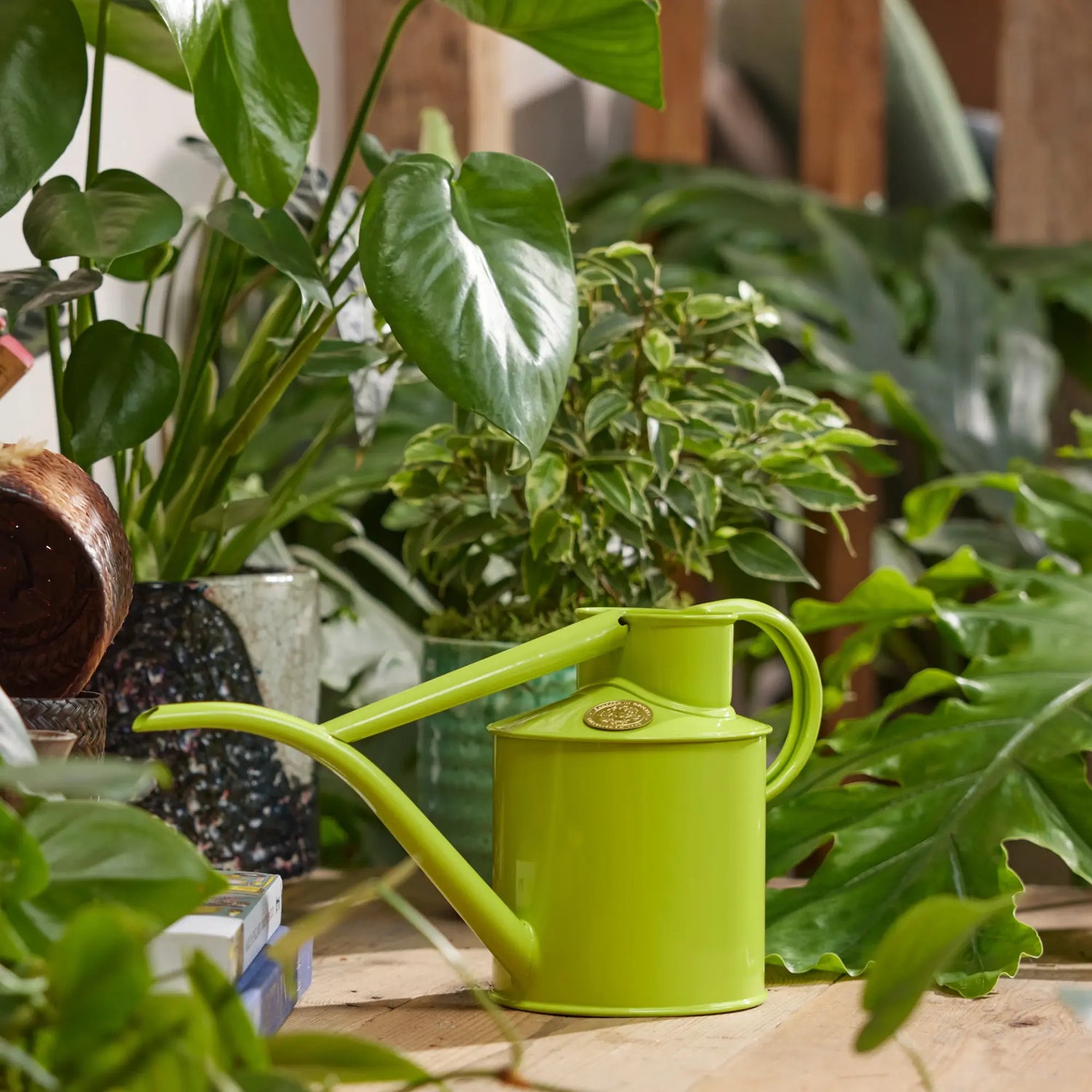 A Haws Fazeley Flow metal watering can in apple green, on a wooden table surrounded by houseplants.