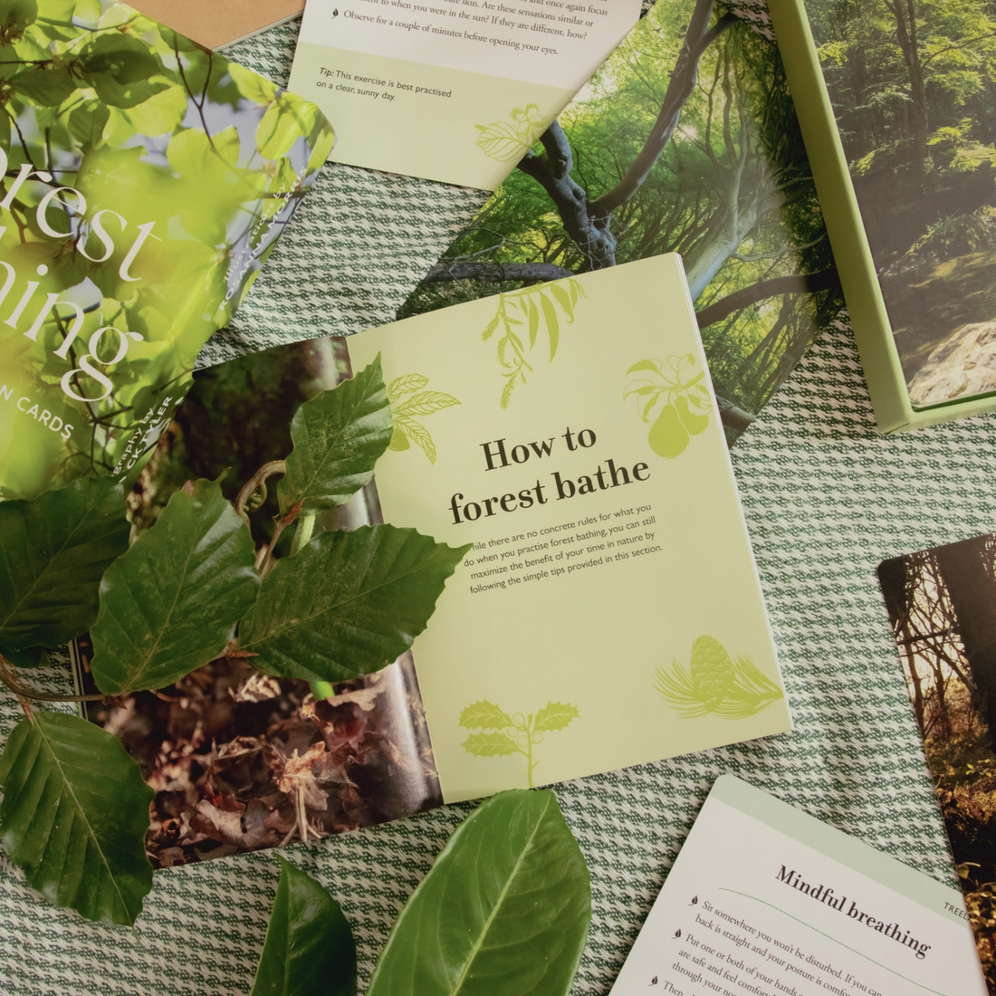 Forest Bathing Cards: Connect with the Healing Power of Trees