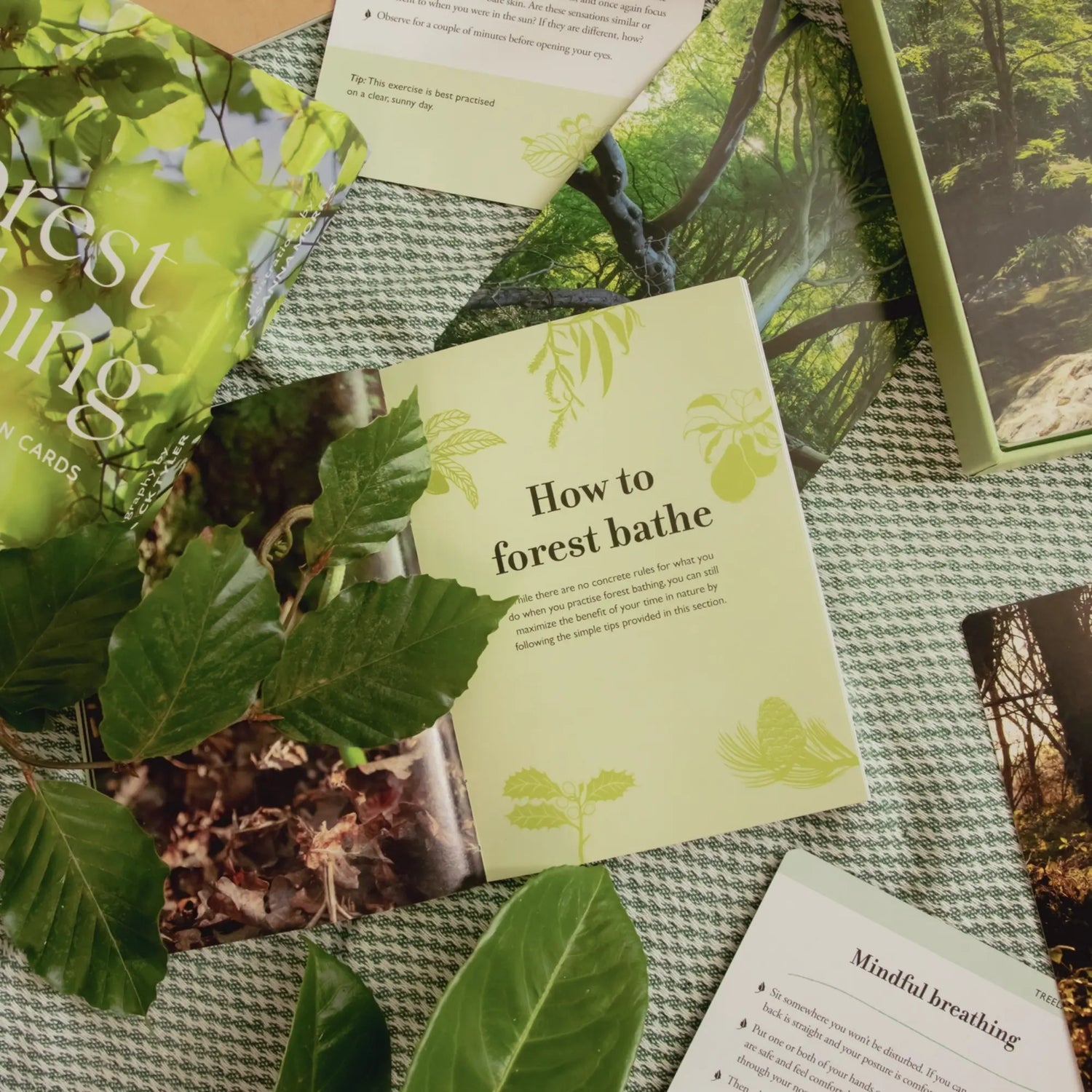 Forest Bathing Guidebook - For Nature Connection - Wilding &amp; Wonder