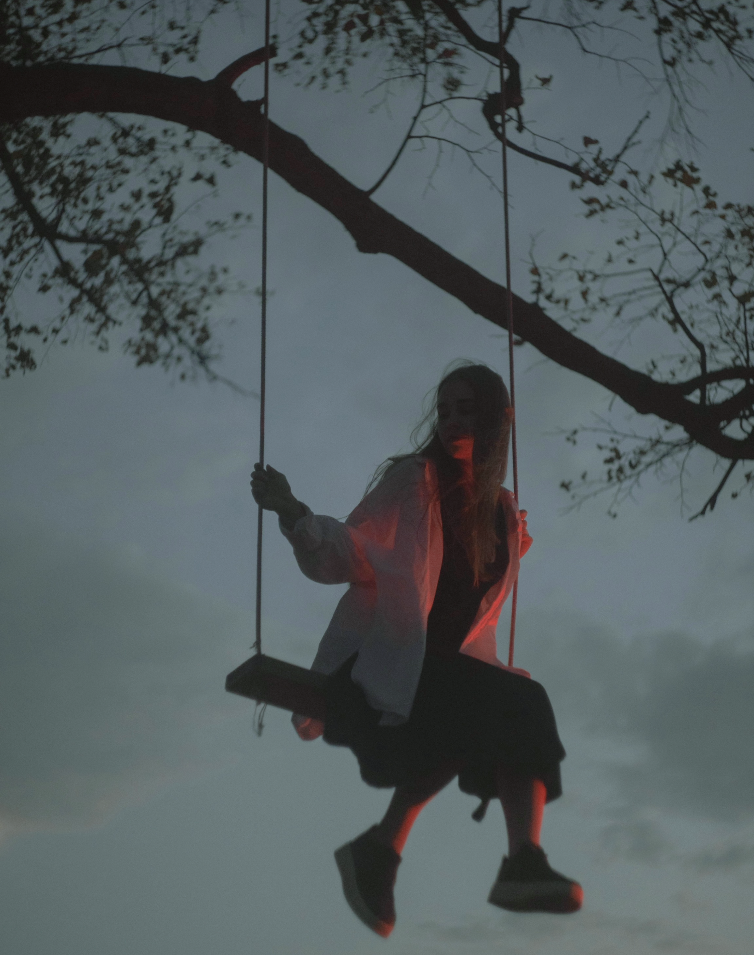 Person on a swing against a tree with a blue sky background for Mega Menu and Newsletter sign-up