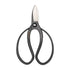Niwaki Sentei Scissors on a white background. Wilding and Wonder