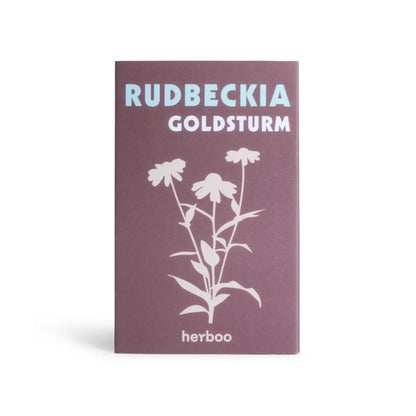 Rudbeckia &