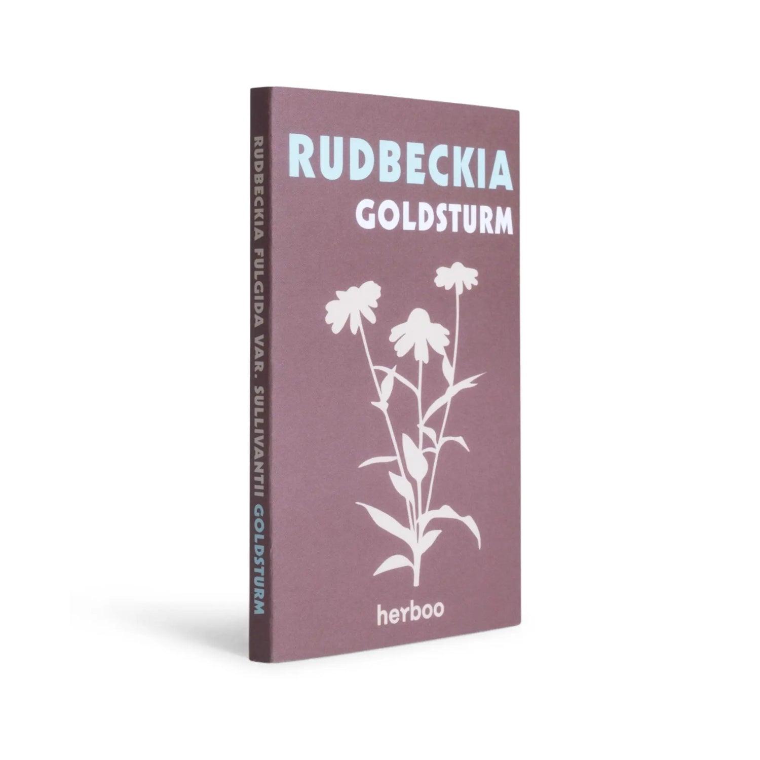 Rudbeckia &