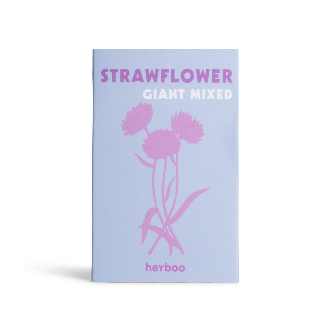 Strawflower &