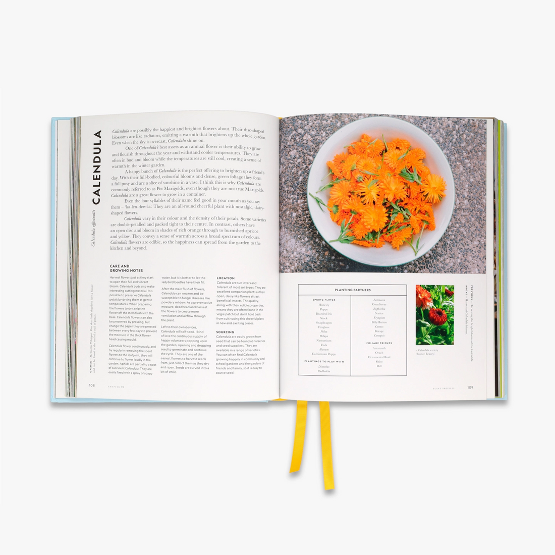 Super Bloom: A Field Guide to Flowers for Every Gardener