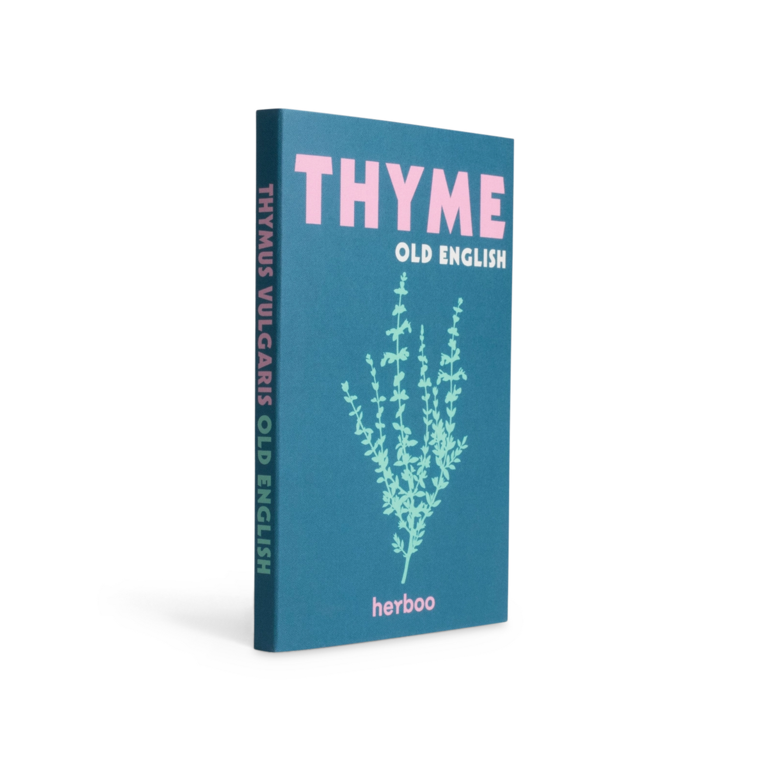 Thyme Seeds - "Old English"
