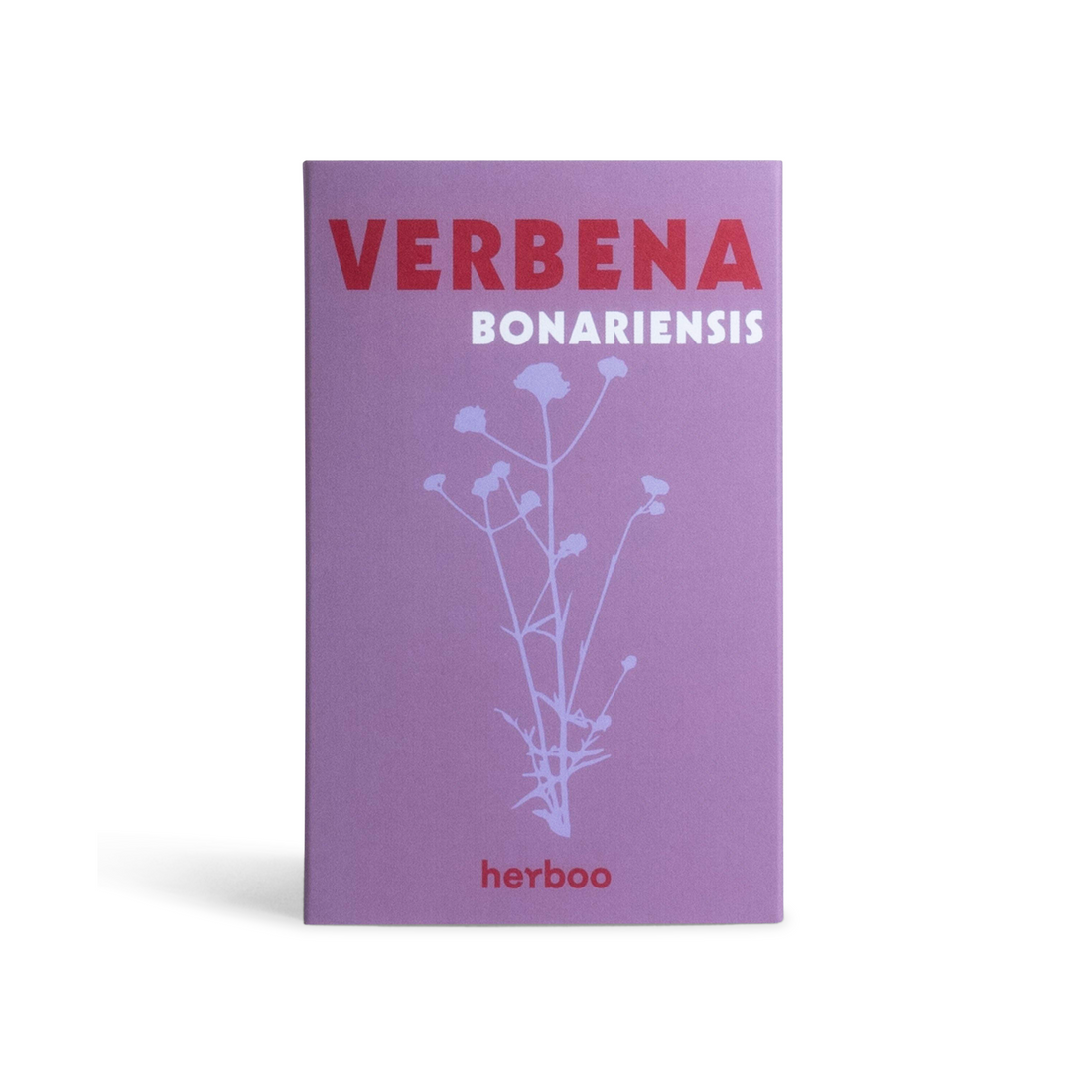 Verbena Bonariensis Seeds