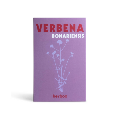 Verbena Bonariensis Seeds