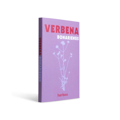 Verbena Bonariensis Seeds
