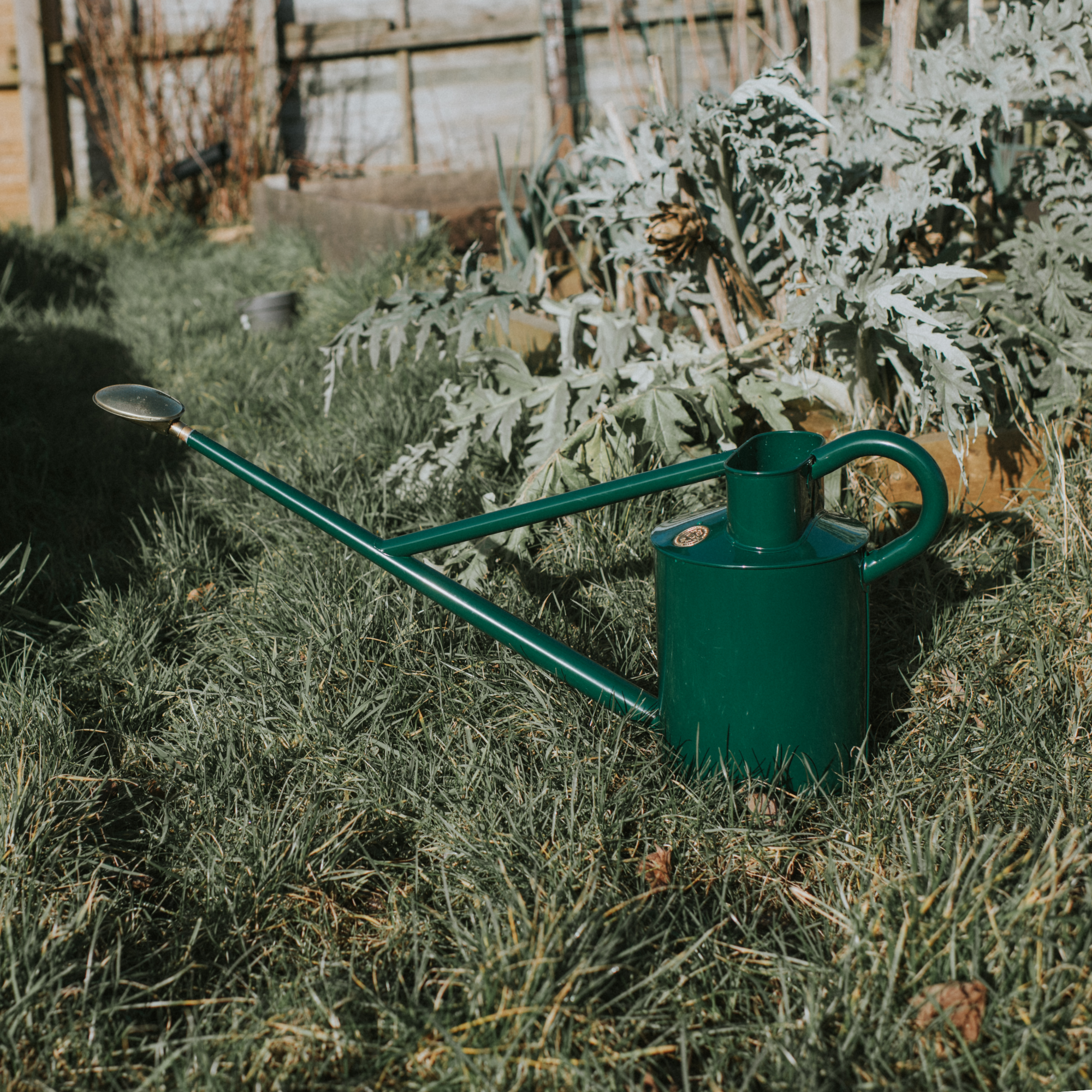 Haws Warley Fall Watering Can - 1 Gallon