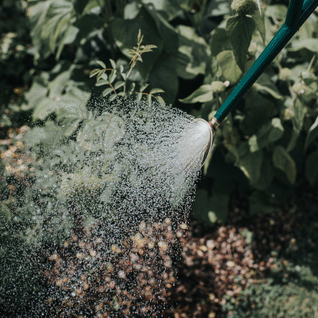 Haws Warley Fall Watering Can - 1 Gallon