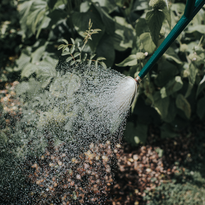 Haws Warley Fall Watering Can - 1 Gallon