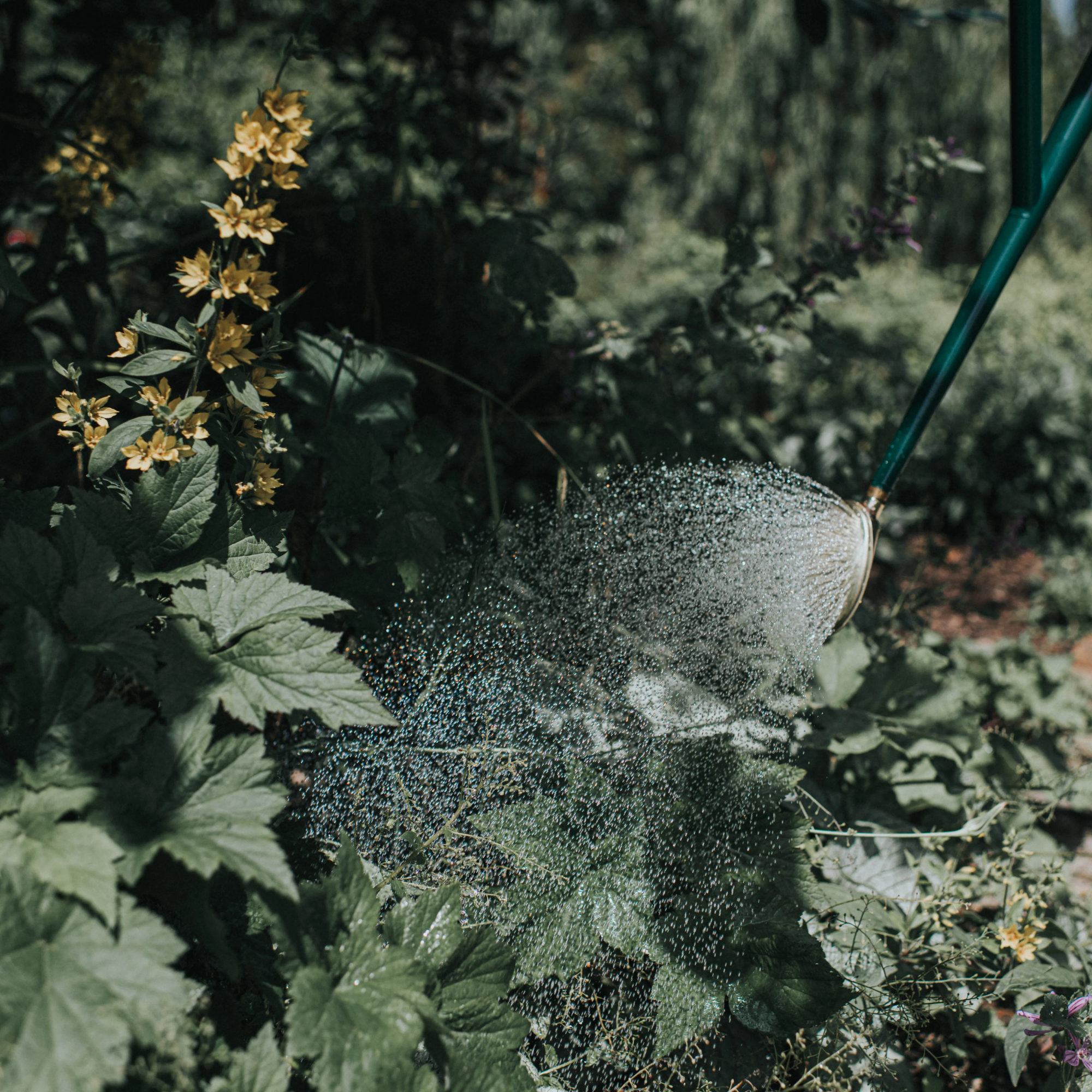 Haws Warley Fall HDG Watering Can - 2 Gallon